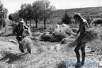 cevennes, divers, les gens,